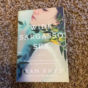 Wide Sargasso Sea by Jean Rhys - Soft Green Cover